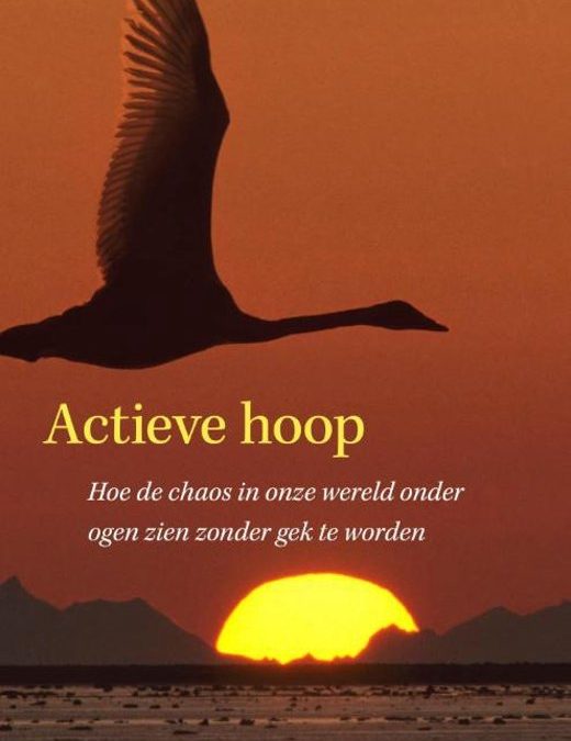 Leesgroepje rond het boek “Actieve Hoop”van Joanna Macy en Chris Johnstone