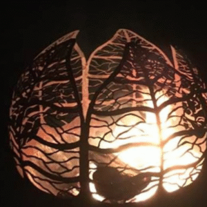 Vurige winterwandeling